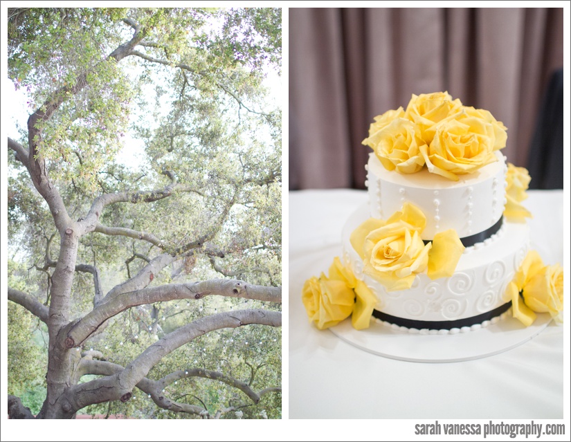 Los Angeles Wedding Photographer The 1909 / Sarah Vanessa Photography