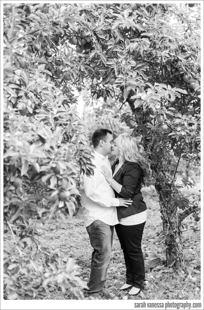 Applecrest Farm Apple Picking Engagement Session Hampton Falls NH // Sarah Vanessa Photography