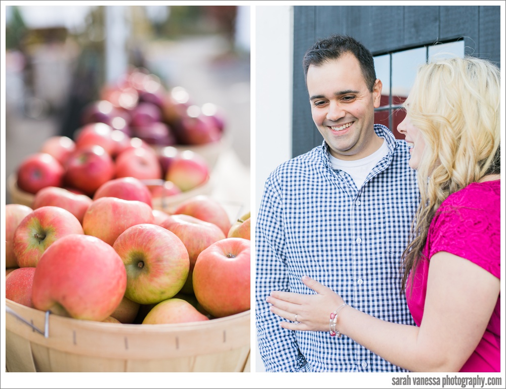Applecrest Farm Apple Picking Engagement Session Hampton Falls NH // Sarah Vanessa Photography