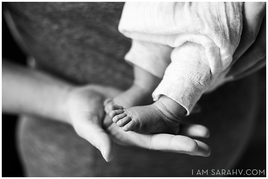 Newborn Photographer / Seacoast, NH / I AM SARAH V Photography
