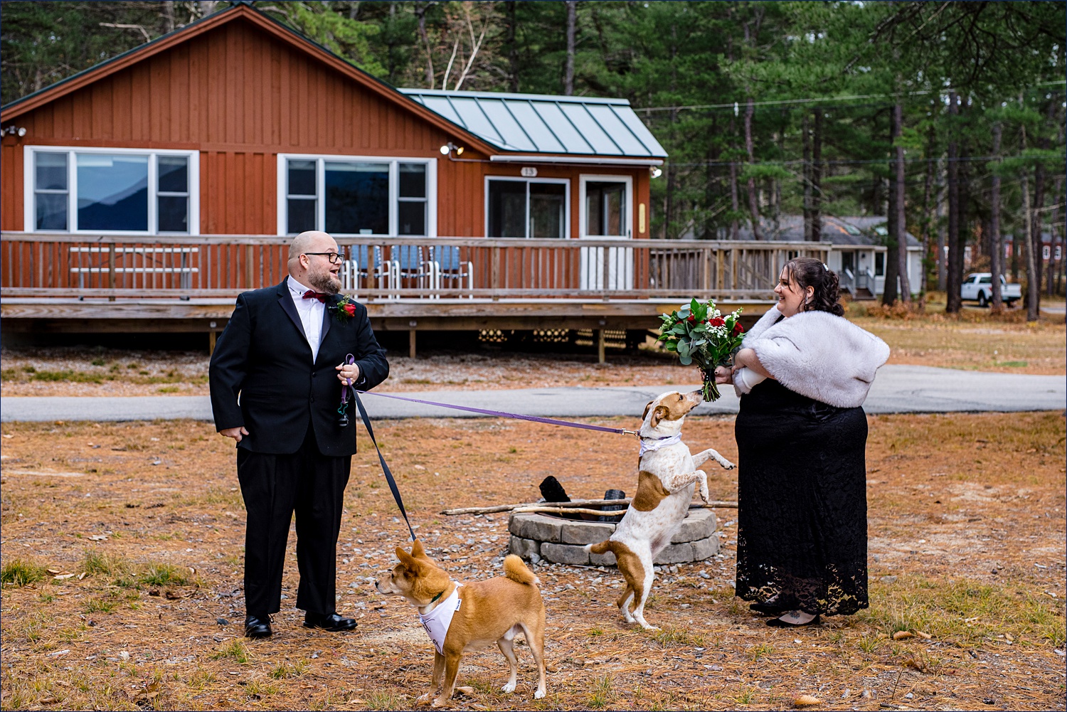 The first look for the couple and their pups on their NH elopement day