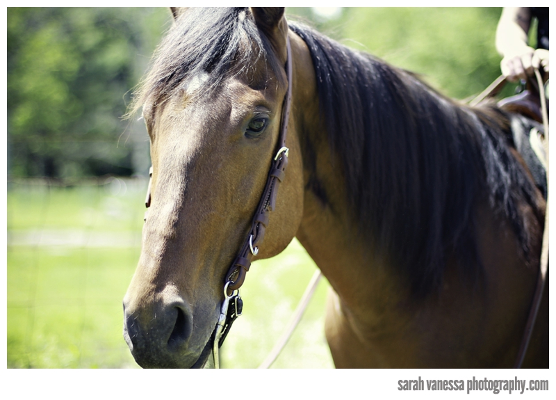 Berwick, Maine Photographer Sarah Vanessa Photography // The Red Barn