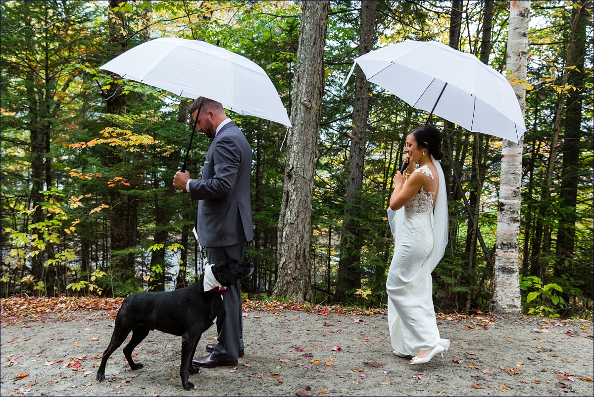 Waterville Valley New Hampshire Wedding bride and groom and their puppy enjoy their rainy day first look outside in the woods