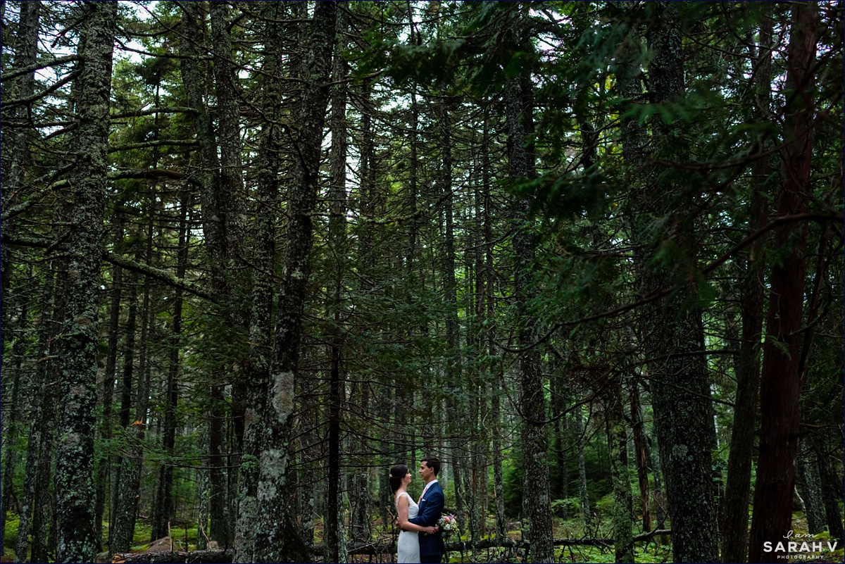 The bride and groom stand together out in the woods of Acadia National Park after getting married in Bar Harbor
