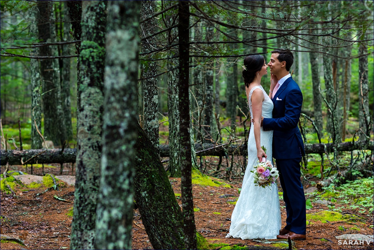 The bride and groom stand together out in the woods of Acadia National Park after getting married in Bar Harbor