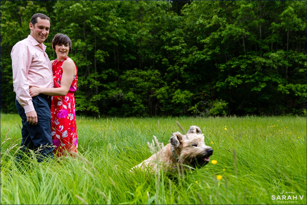 Puppy running in the grass Maudslay State Park Newburyport, MA Maine Wedding Photographers Engagement Session Woods Waterfalls / I AM SARAH V Photography