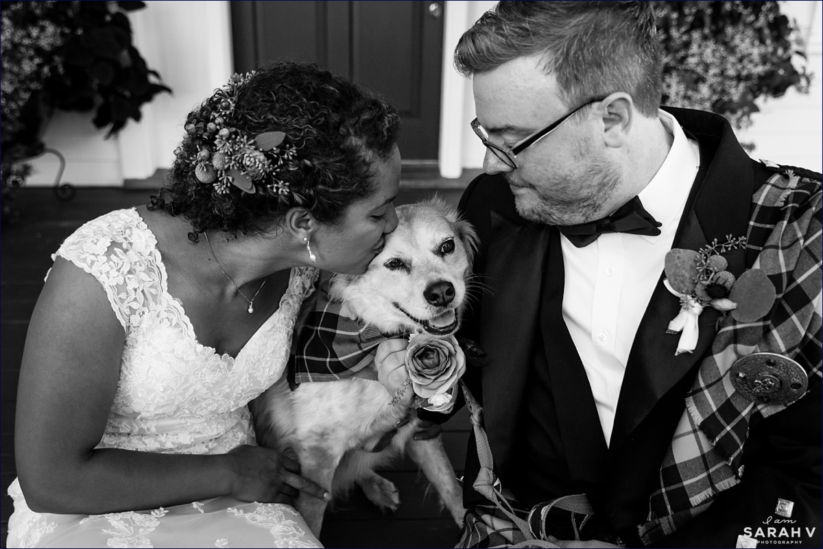 Maine Wedding the newlyweds share a kiss with their puppy after the ceremony is over