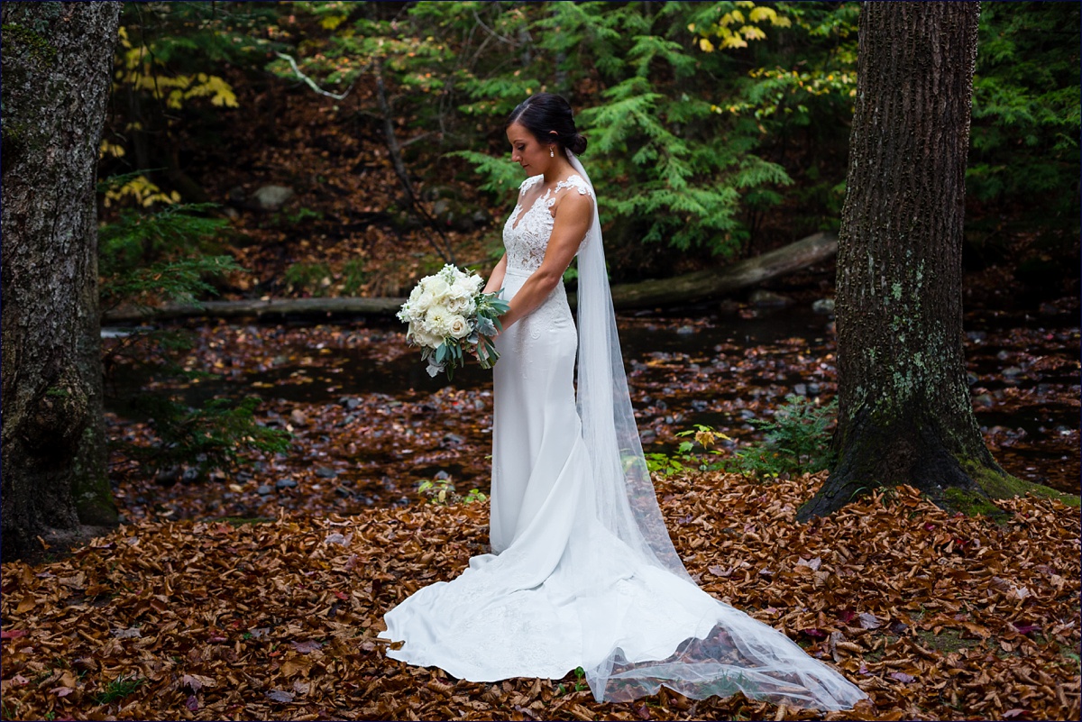 Waterville Valley New Hampshire Wedding bride in the fall woods wearing her gorgeous lace wedding gown and her cathedral veil