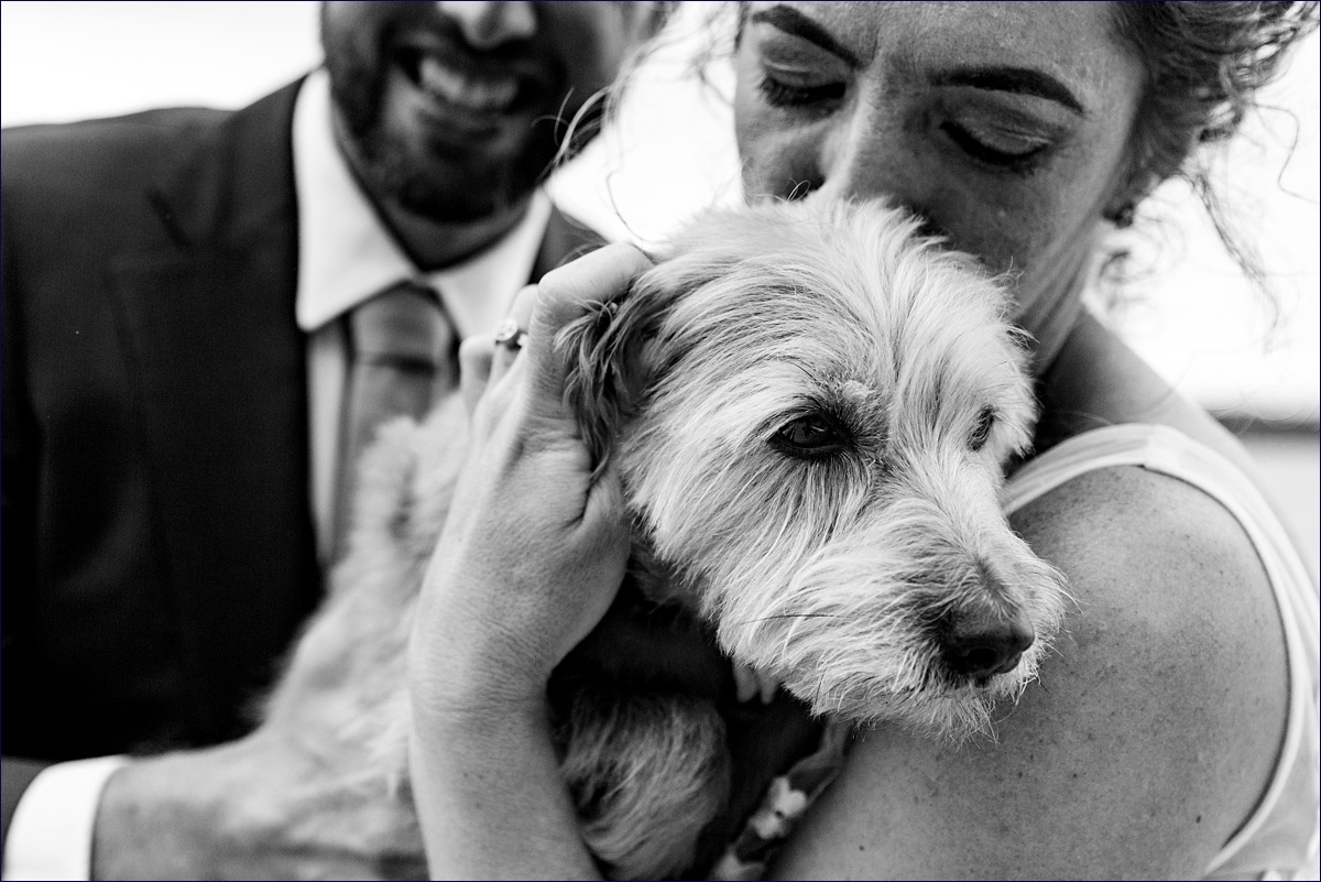 Linekin Bay Resort Wedding Photographer in Boothbay Maine the bride and groom cuddle their puppy on their wedding day