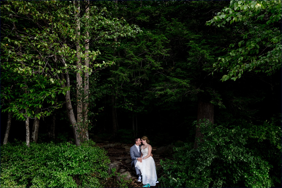 New Hampshire forest as a backdrop for the newlywed's love