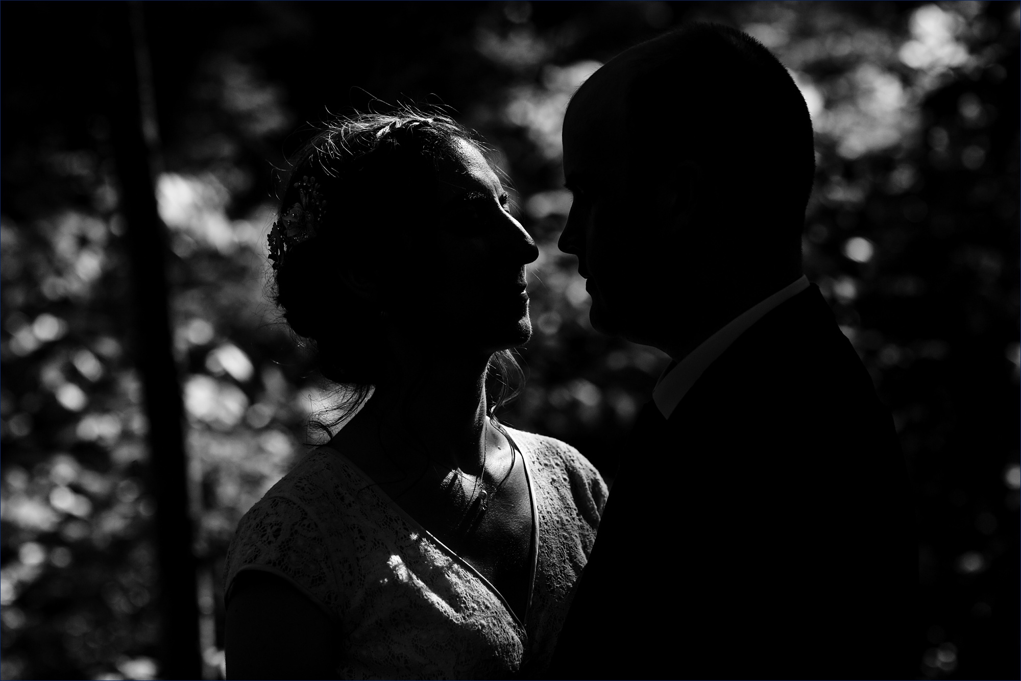 The sun barely lights the edge of the bride's face in the woods of NH