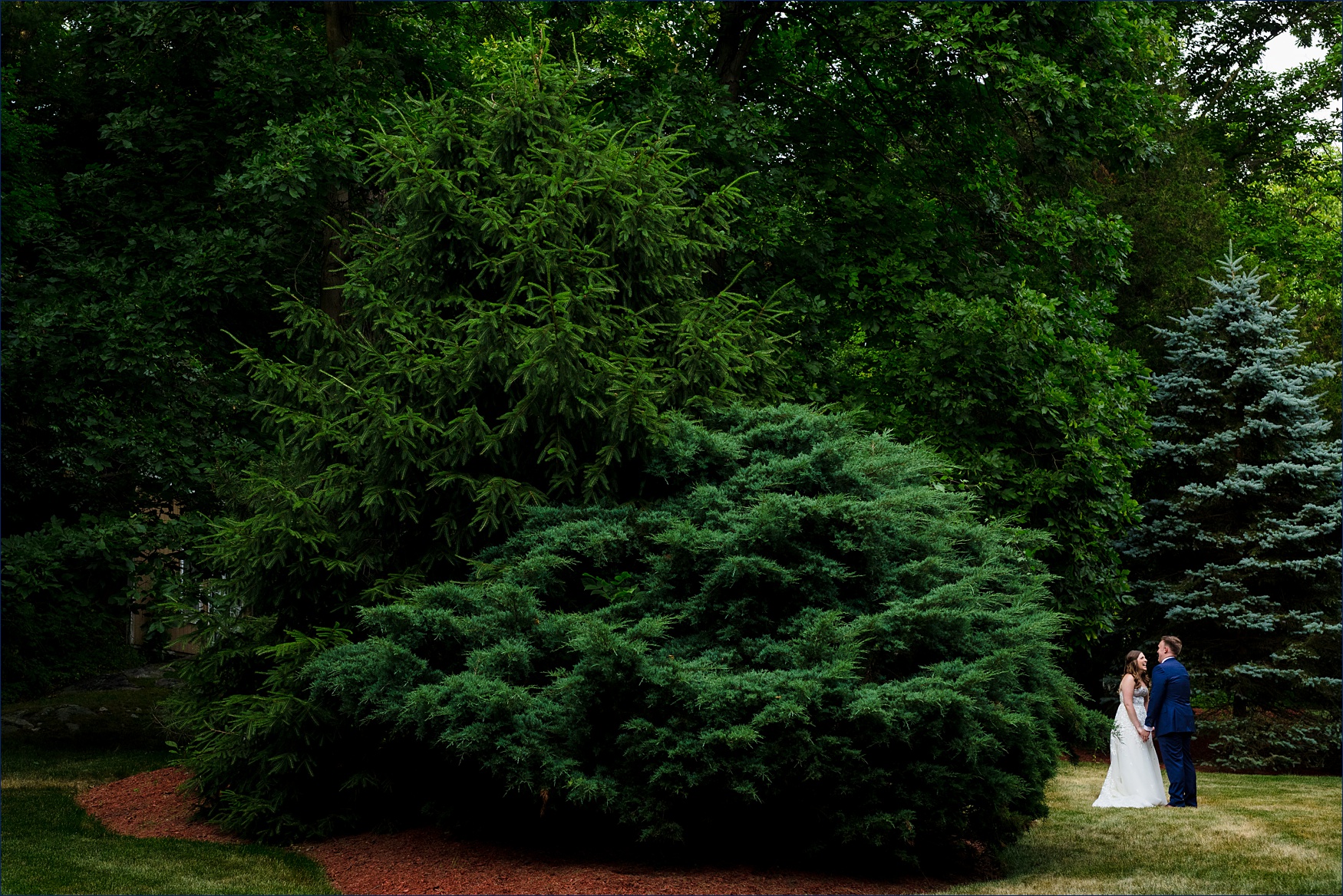 A moment along among the tall trees for the bride and groom