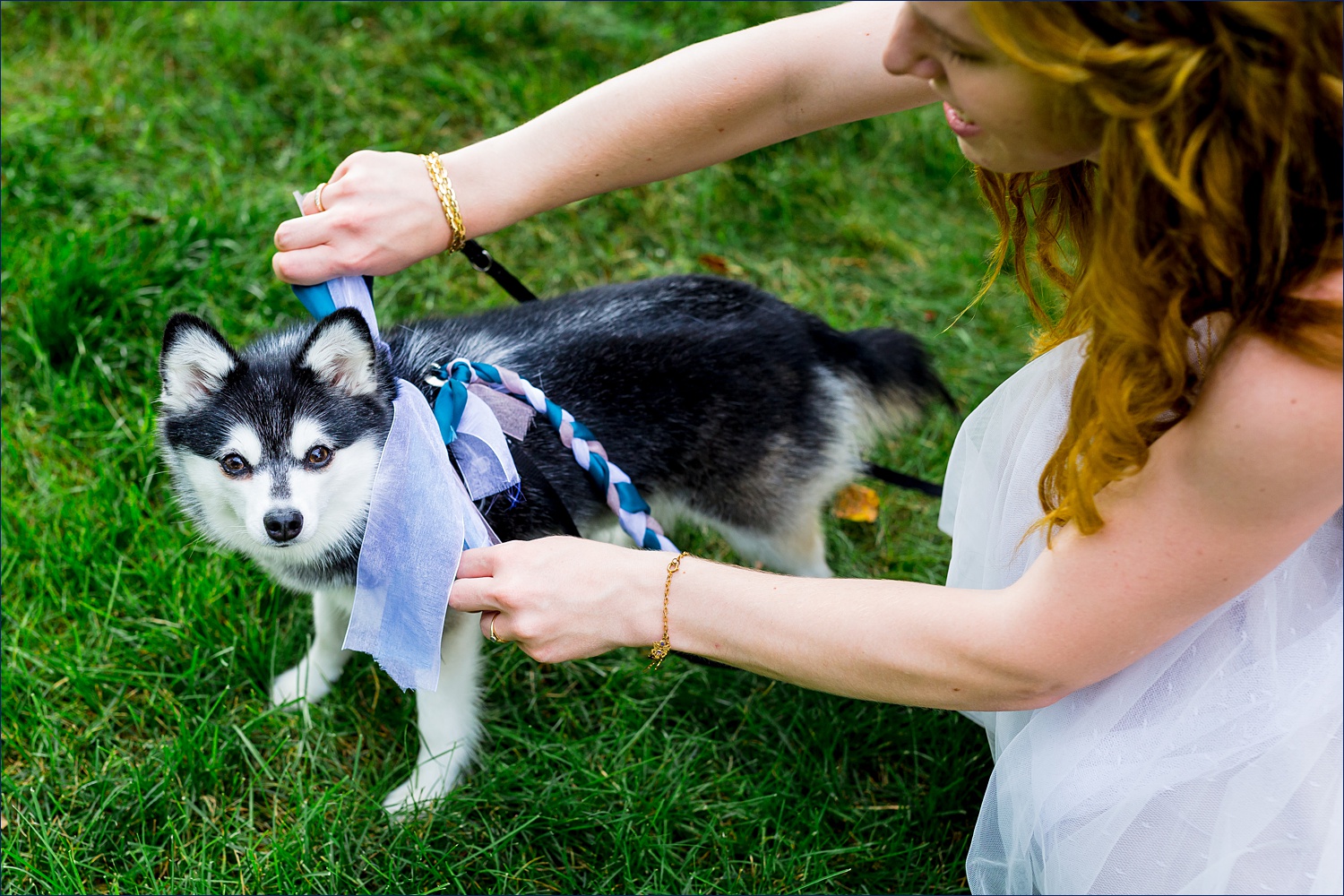 The couple's dog joins them for their backyard wedding day!