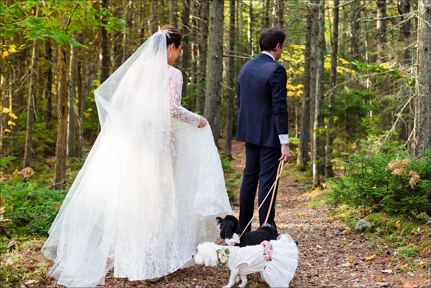 The bride greets the groom at their wedded first look with the couple's pups