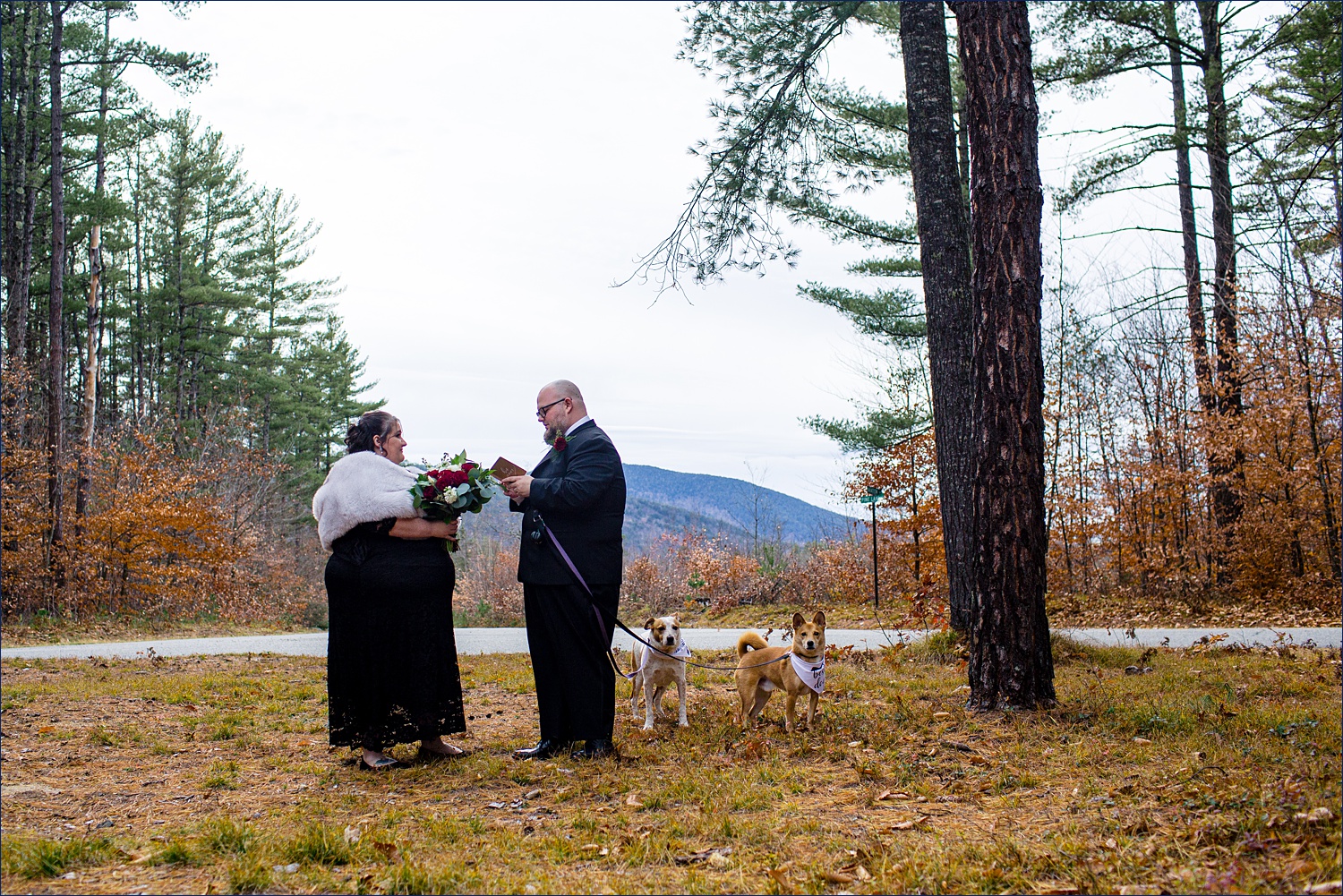 The couple reads their vows in the White Mountains NH