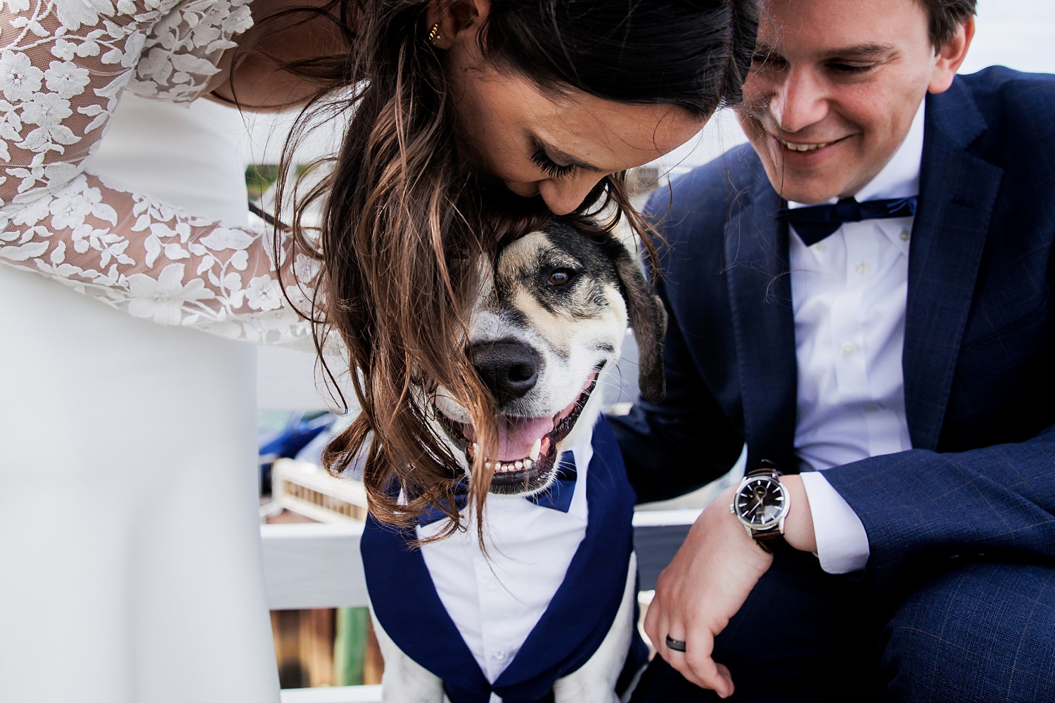 Puppy dog all wrapped up in love from his mom and dad on their wedding day