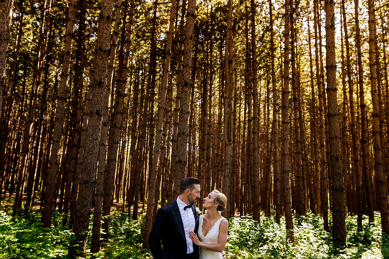 The newlyweds stand among the tall trees in the grove at Cunningham Farm in New Gloucester Maine