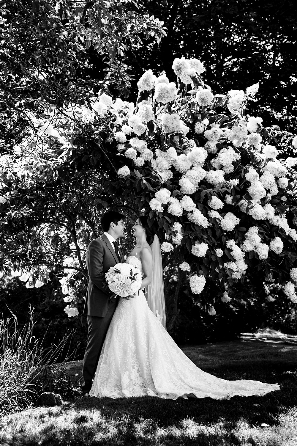 The newlyweds hang out underneath a Hydrangea bush
